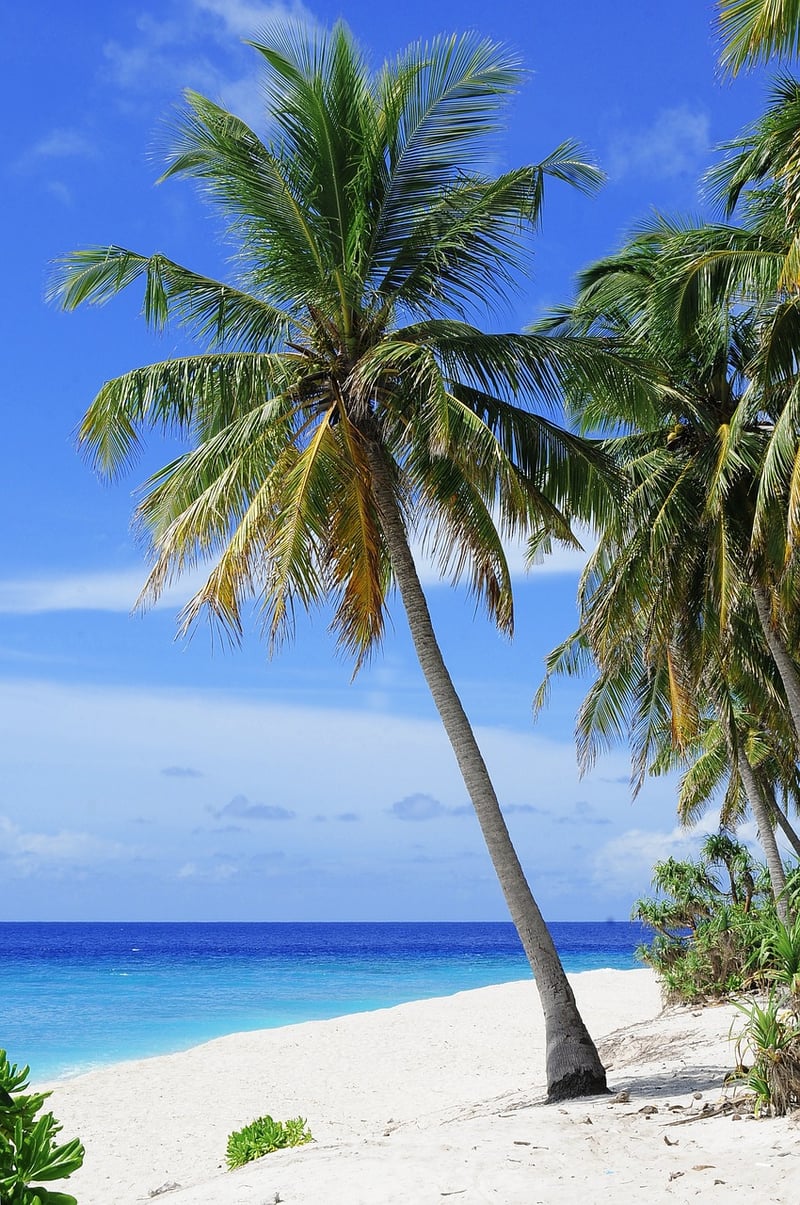 Beach Getaway